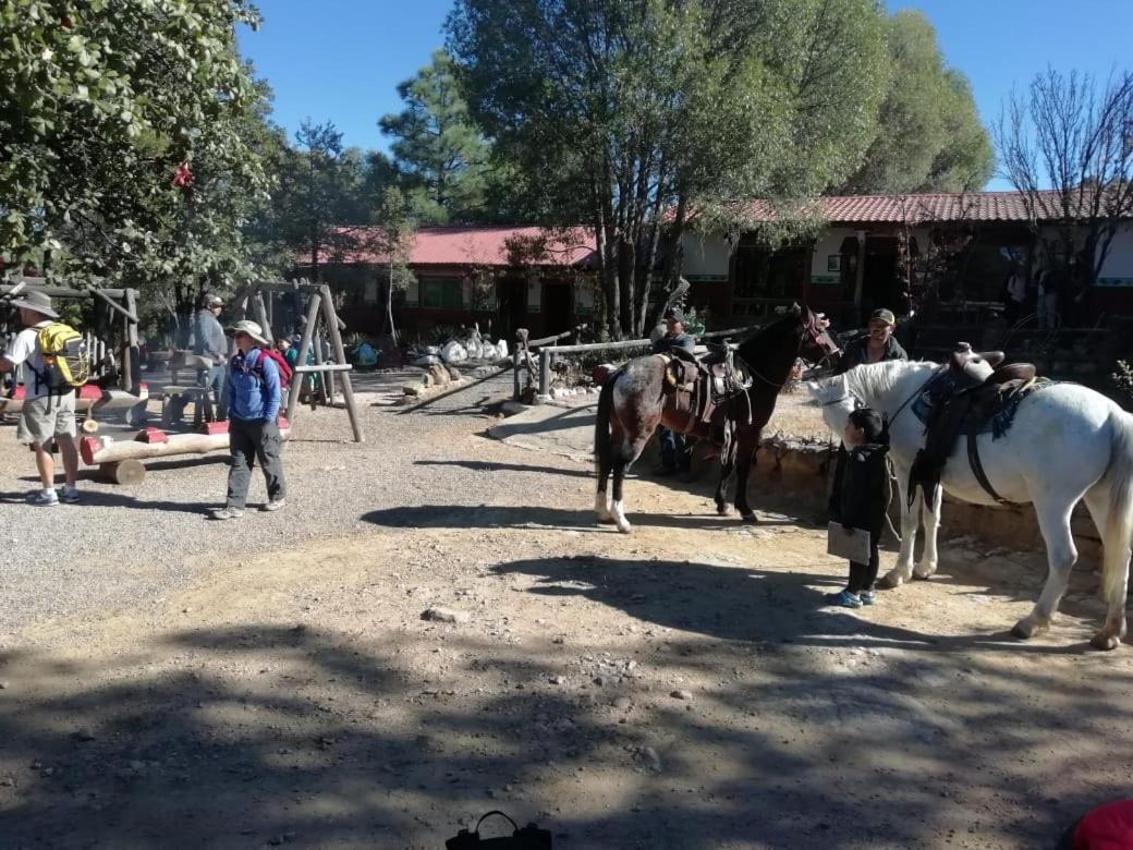 Lodge Rancho San Isidro *